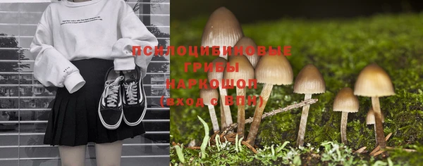 кокс Няндома