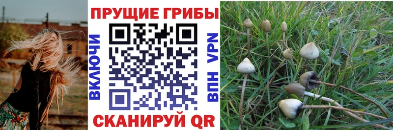 Купить закладки Крым Галлюциногенные грибы Magic Shrooms